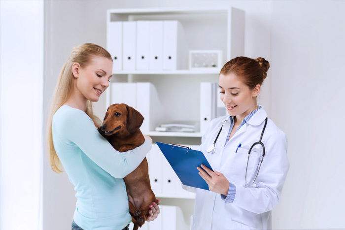 ЭЦП для оформления ветеринарных сертификатов (ГИС Меркурий) в Великом Устюге